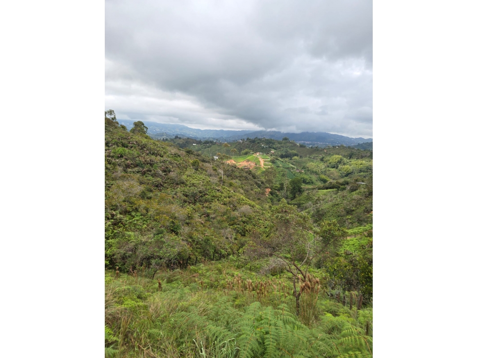 Amplio Lote En El Peñol Para La Venta — foto 2