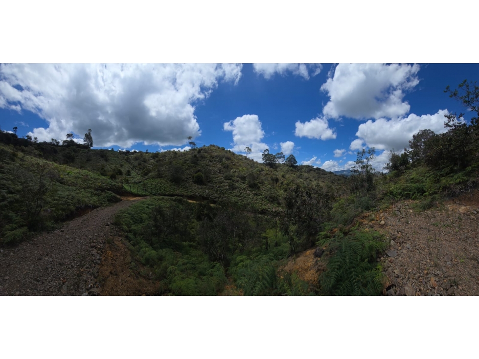 Amplio Lote En El Peñol Para La Venta — foto 5