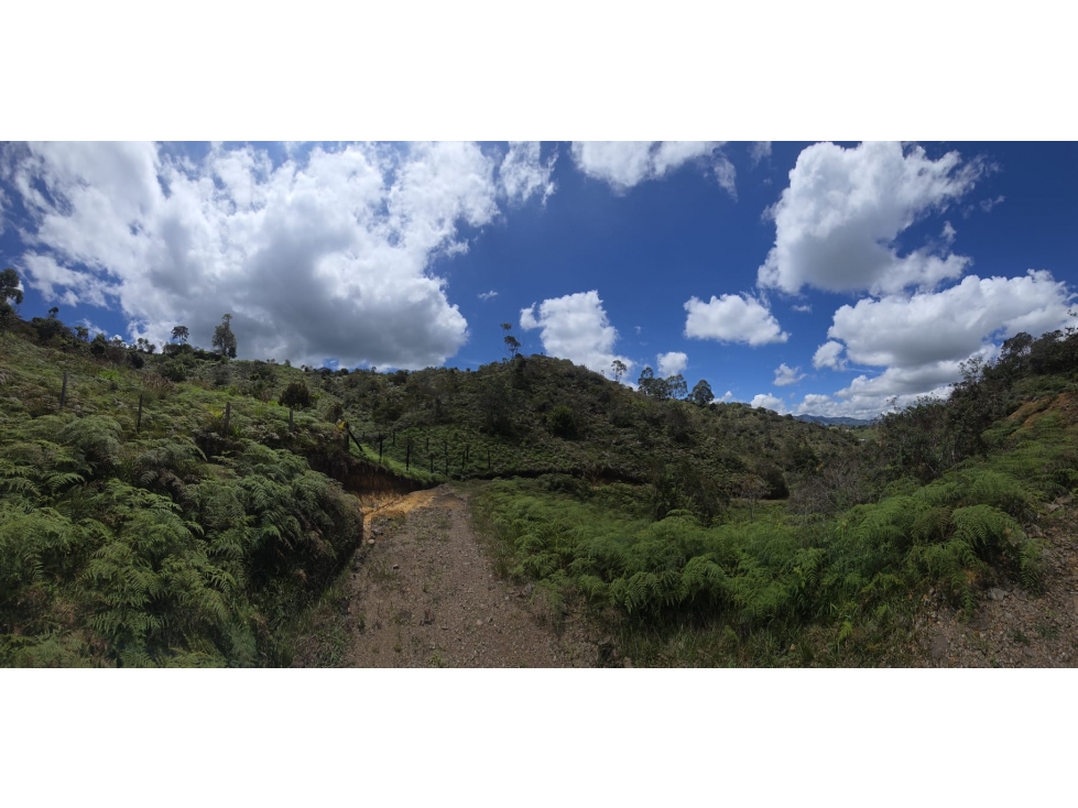 Amplio Lote En El Peñol Para La Venta — foto 6
