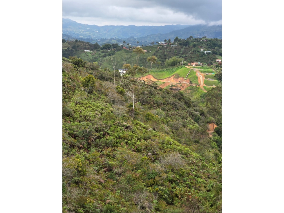 Amplio Lote En El Peñol Para La Venta — foto 3