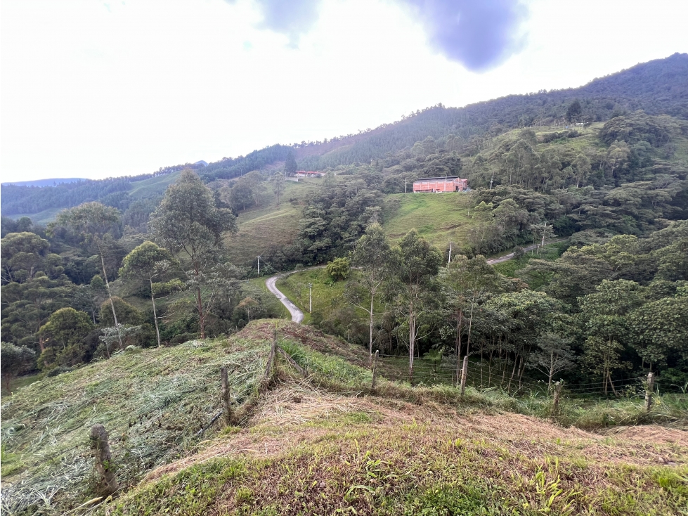 Venta de Lote Industrial / Agrícola en Caldas - 1