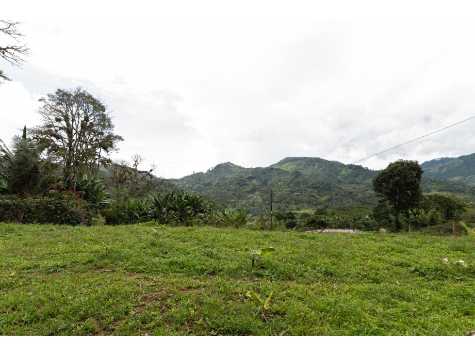 Venta de Lote en Jardín, Antioquia, Vereda Verdun - 1