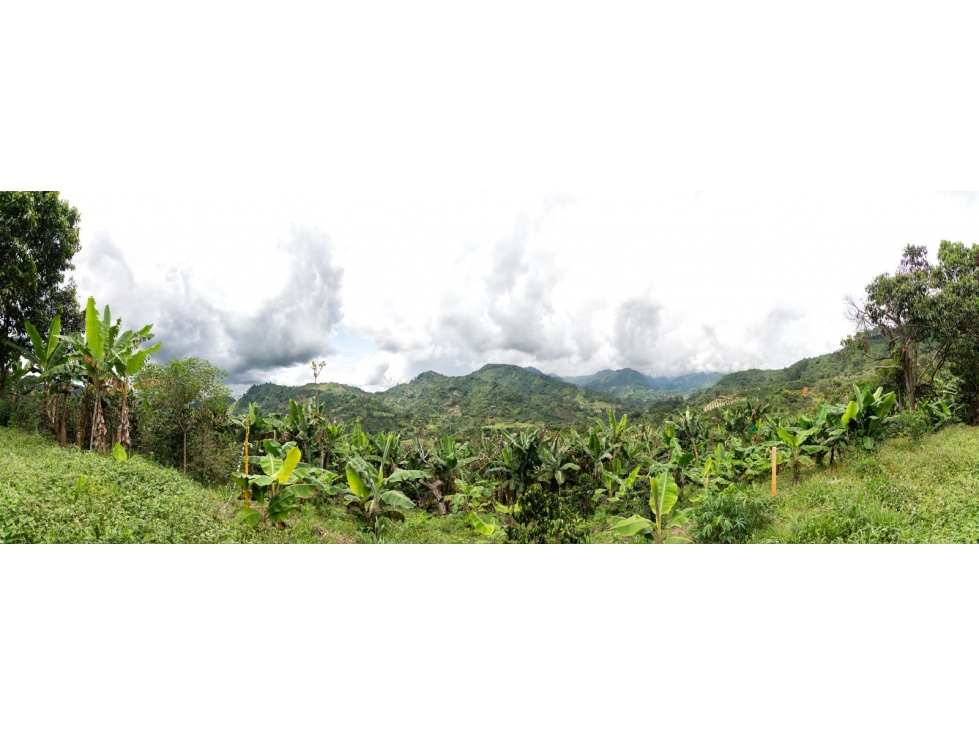 Venta de Lote en Jardín, Antioquia, Vereda Verdun - 1
