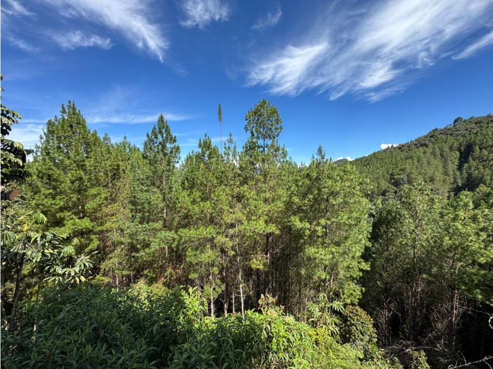 Venta de Apartamento en El Retiro, Sector Fizebad