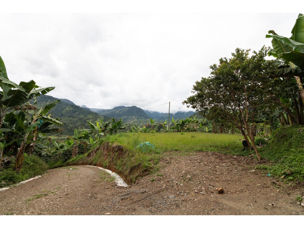 Venta de Lote en Jardín, Antioquia, Vereda Verdun - 3