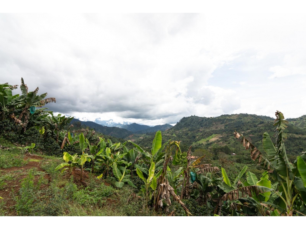 Venta de Lote en Jardín, Antioquia, Vereda Verdun - 2