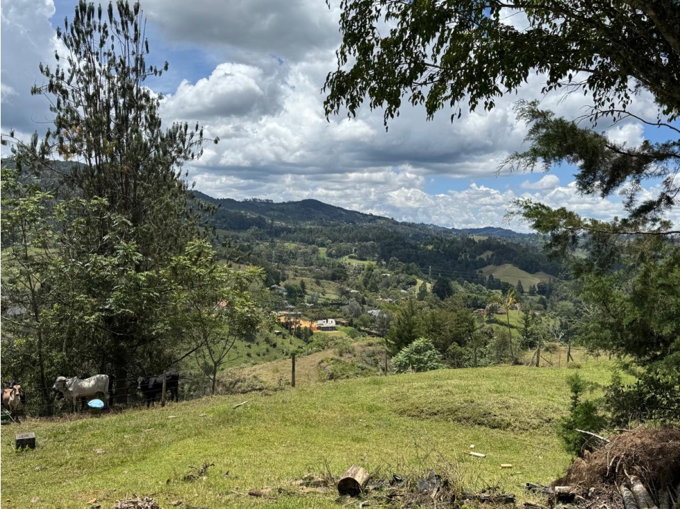 Hermoso lote de 20.000 mts2 en exclusiva zona de Llano Grande — foto 3
