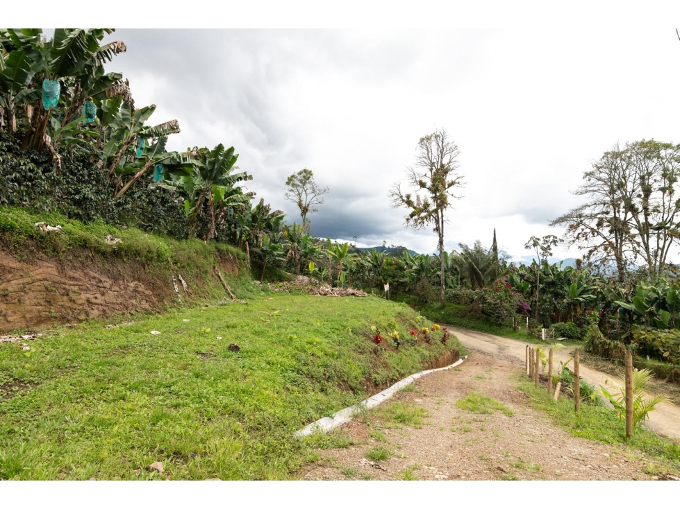 Venta de Lote en Jardín, Antioquia, Vereda Verdun - 4
