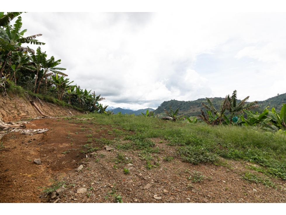 Venta de Lote en Jardín, Antioquia, Vereda Verdun - 4