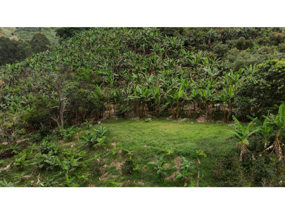 Venta de Lote en Jardín, Antioquia, Vereda Verdun - 4