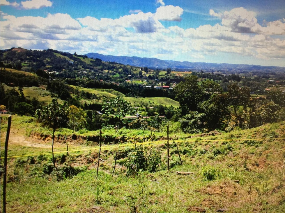 Hermoso lote de 20.000 mts2 en exclusiva zona de Llano Grande — foto 4