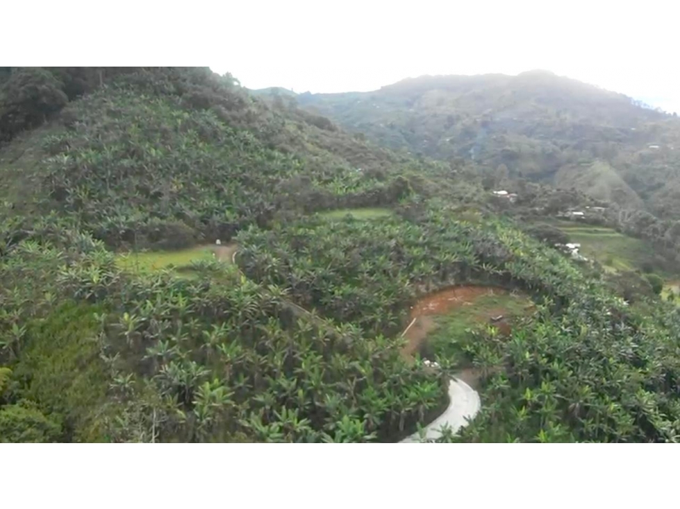 Venta de Lote en Jardín, Antioquia, Vereda Verdun - 5