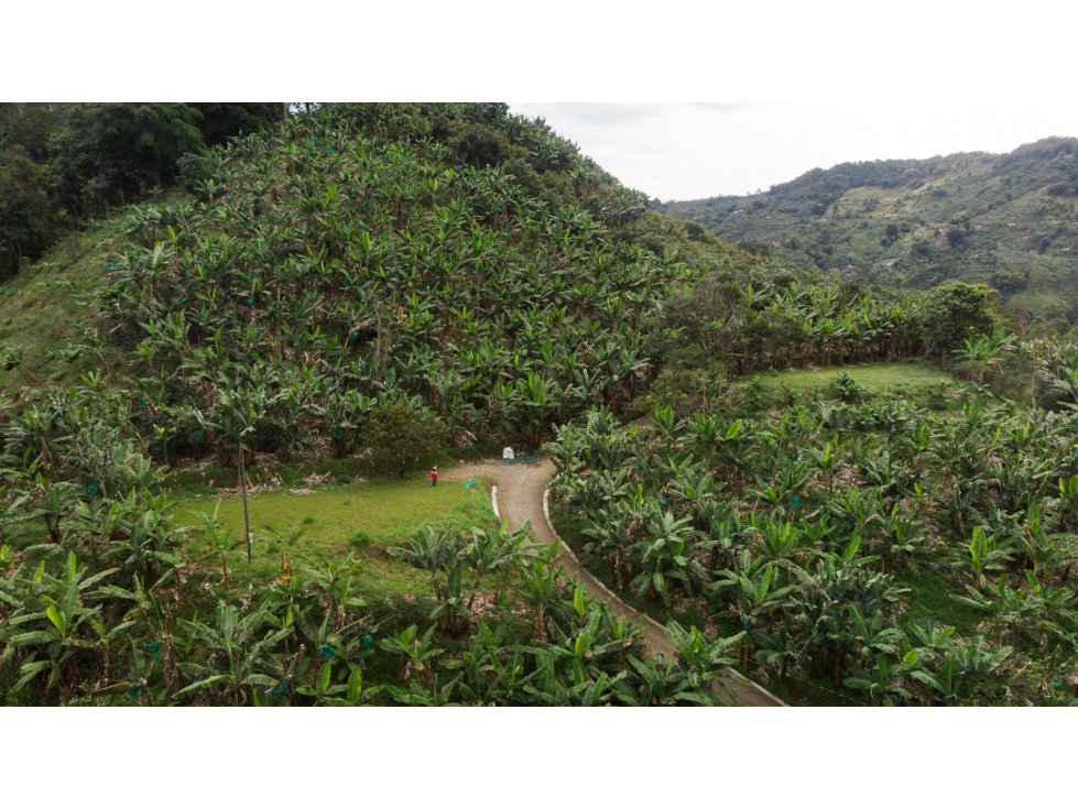 Venta de Lote en Jardín, Antioquia, Vereda Verdun - 5