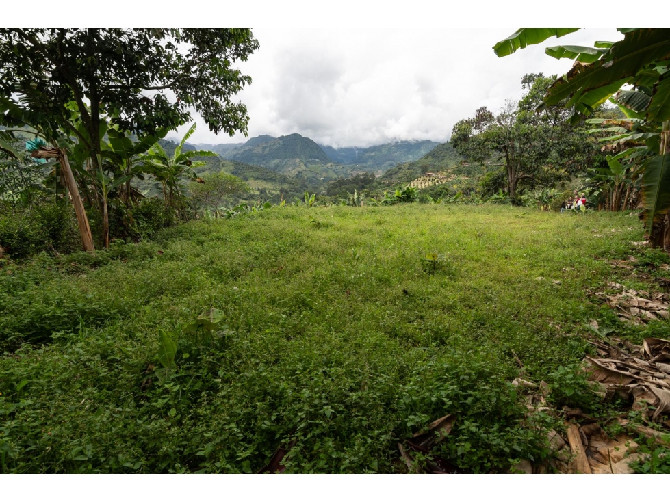 Venta de Lote en Jardín, Antioquia, Vereda Verdun - 5