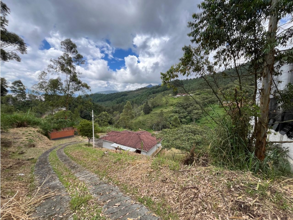 Venta de Lote Industrial / Agrícola en Caldas - 6
