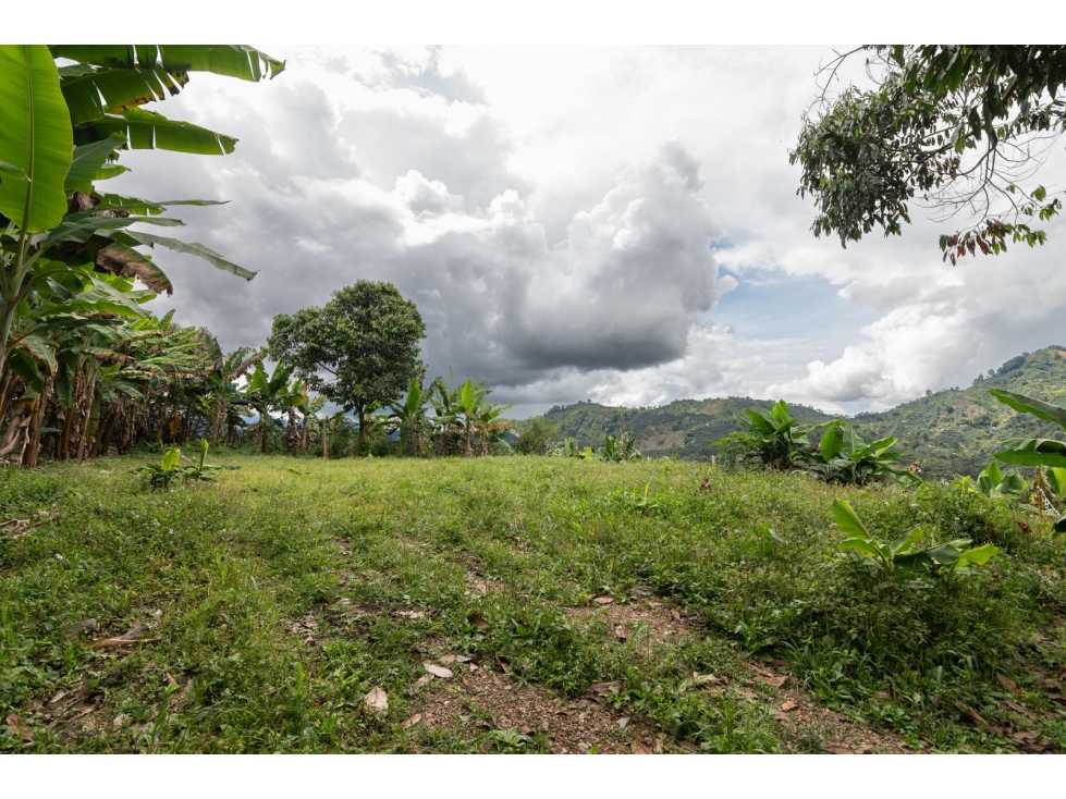 Venta de Lote en Jardín, Antioquia, Vereda Verdun - 6
