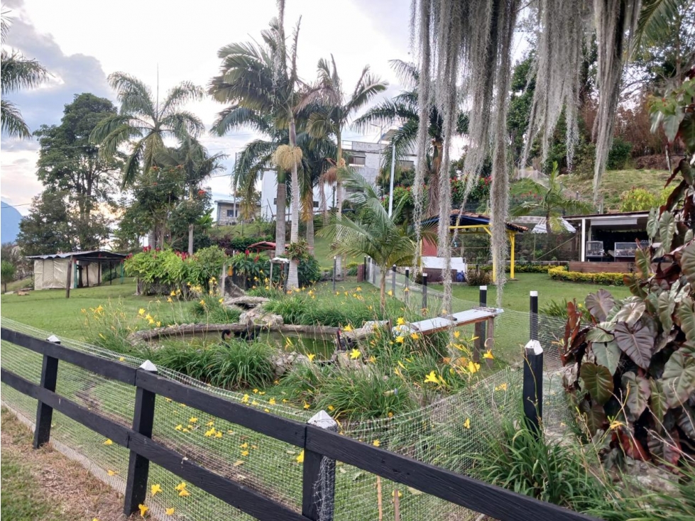 Finca La Aburrida - Vereda Uvital Fredonia - 4