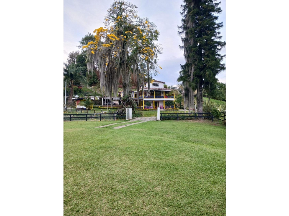 Finca La Aburrida - Vereda Uvital Fredonia - 3