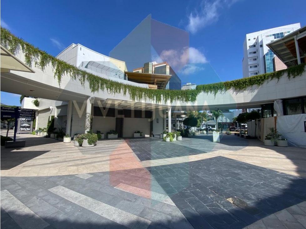 Gran Formato Comercial | Plaza Paseo Chapultepec | 253 m² - 1
