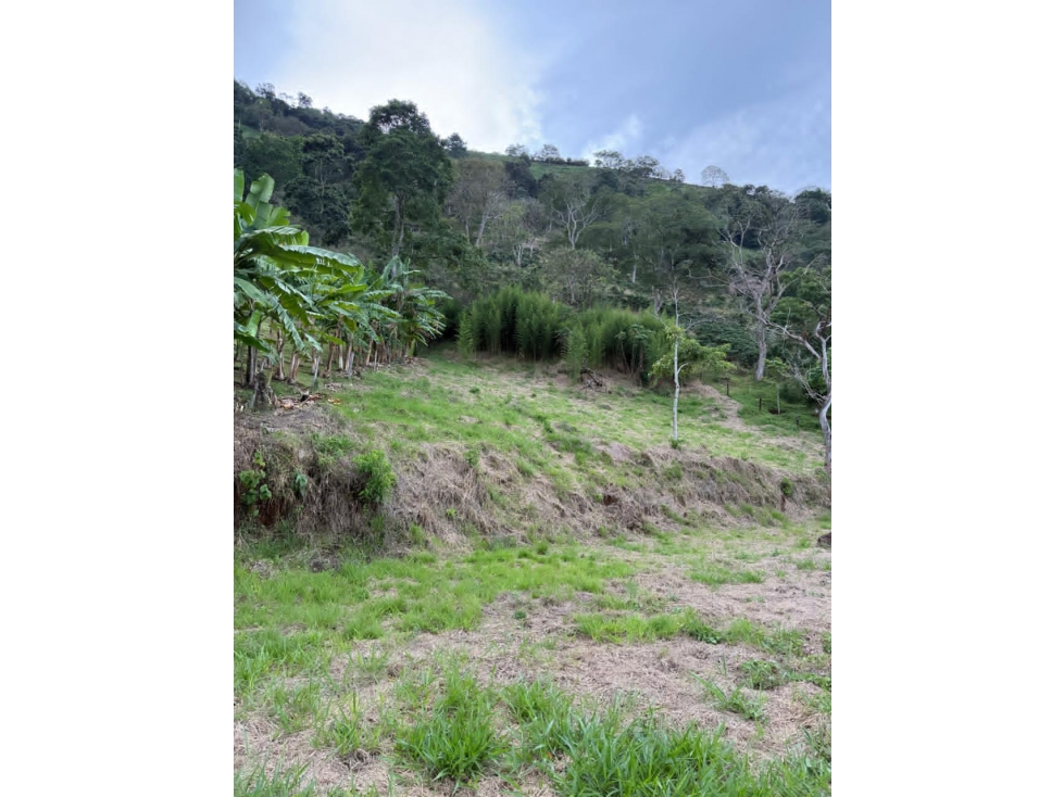 Venta de Lote en Tarso Antioquia
