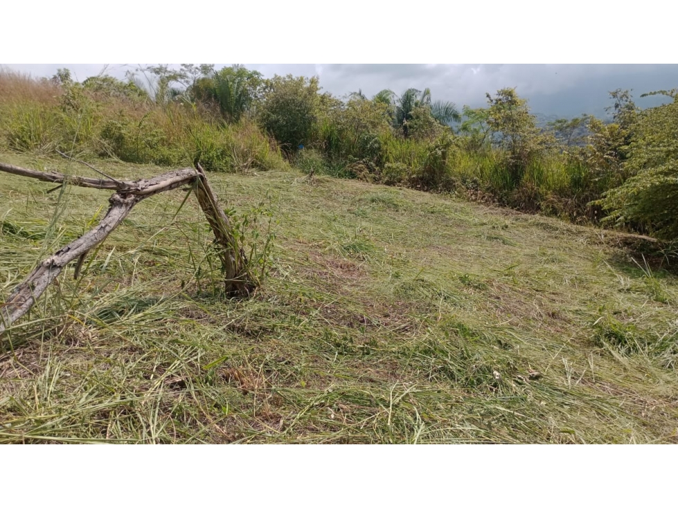 VENDO LOTE APULO CUNDINAMARCA - 2