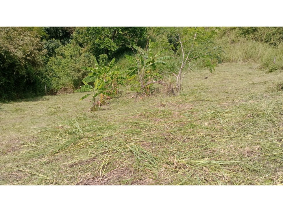 VENDO LOTE APULO CUNDINAMARCA - 3
