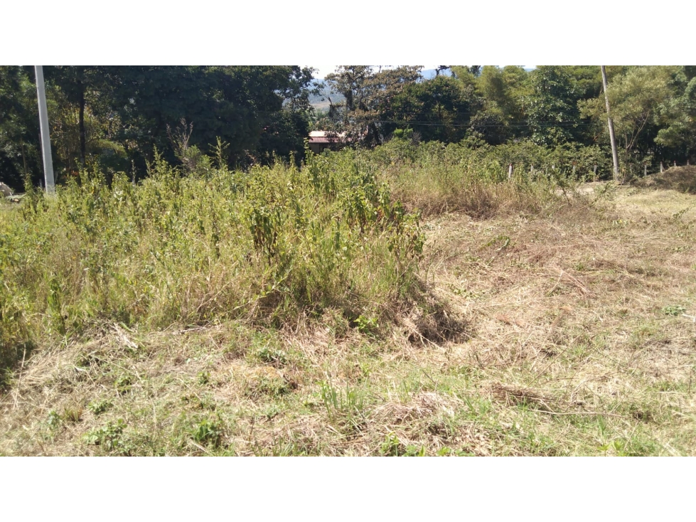 VENDO LOTE APULO CUNDINAMARCA - 5