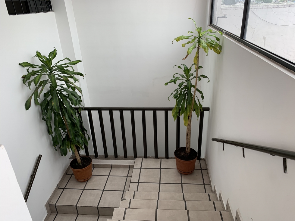 EDIFICIO EN VENTA O RENTA EN AV. LAS TORRES TOLUCA - 6