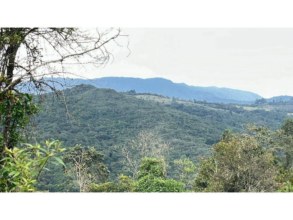 VENTA DE LOTE EN EL TABLAZO RIONEGRO