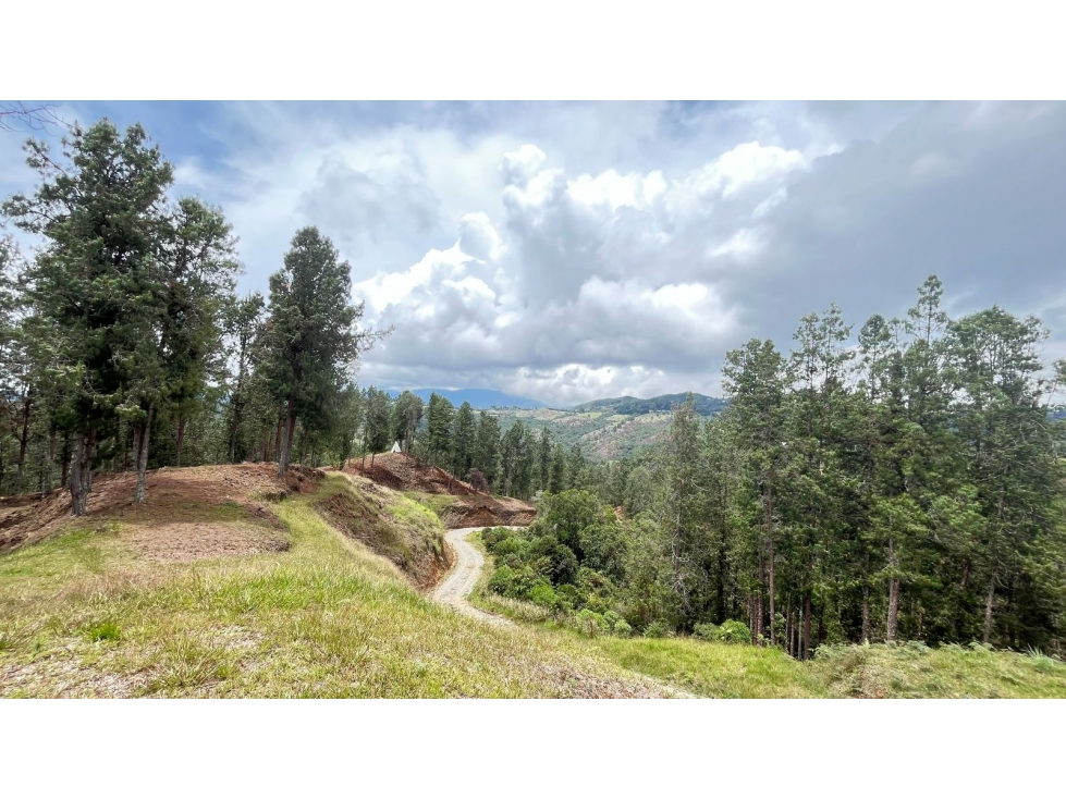 VENTA DE EXCLUSIVOS TERRENOS EN EL TABLAZO RIONEGRO