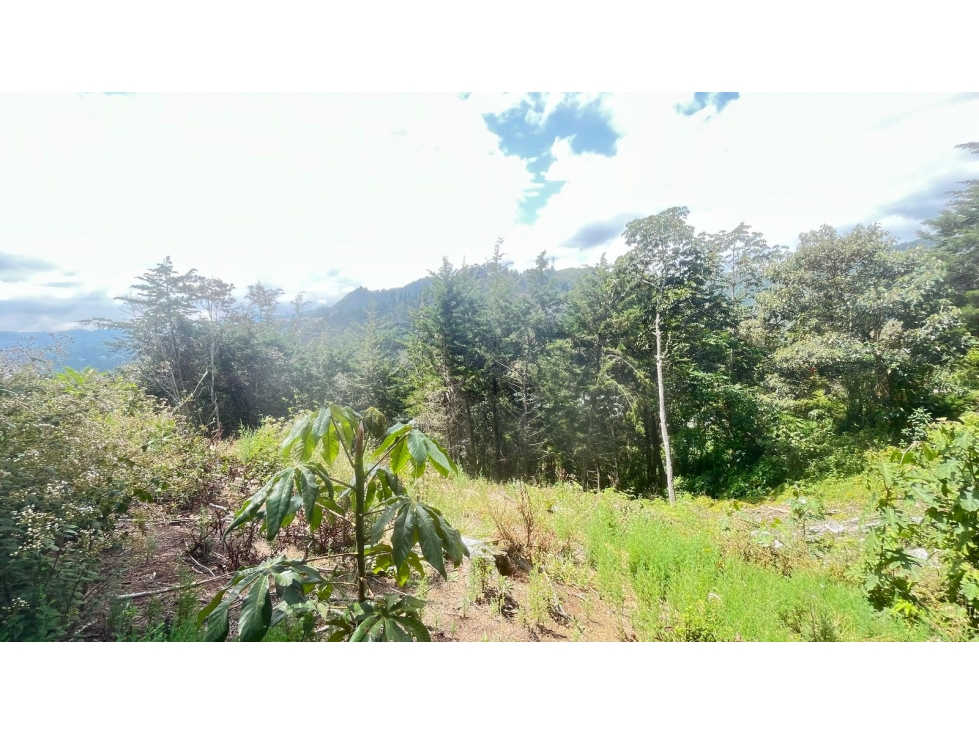 VENTA DE LOTE EN EL RETIRO ANTIOQUIA — foto 2