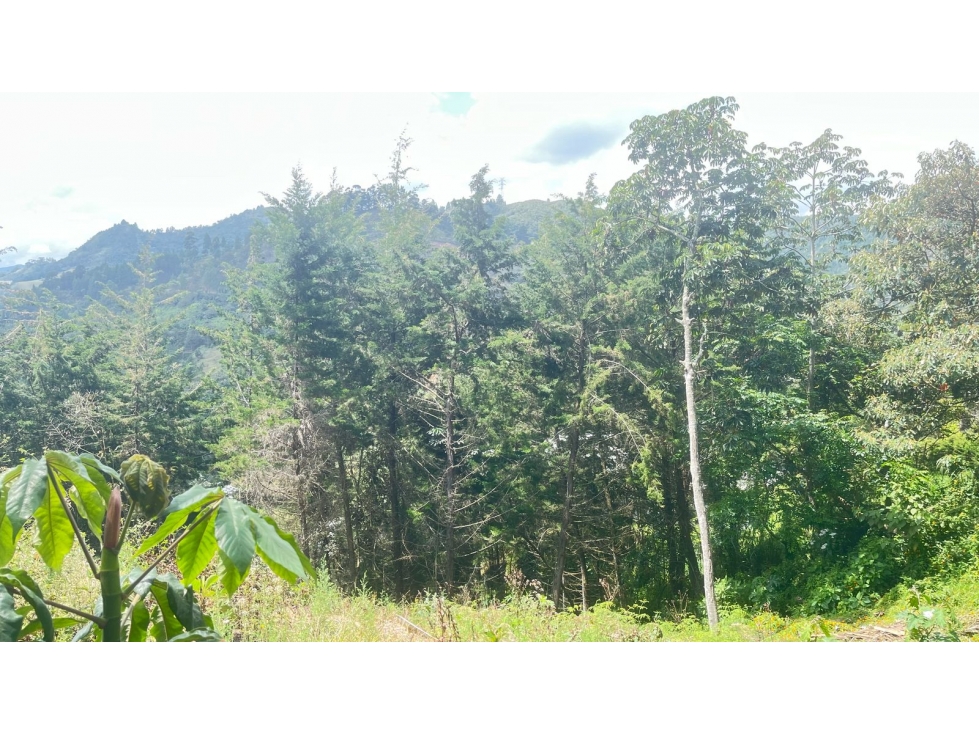 VENTA DE LOTE EN EL RETIRO ANTIOQUIA — foto 4