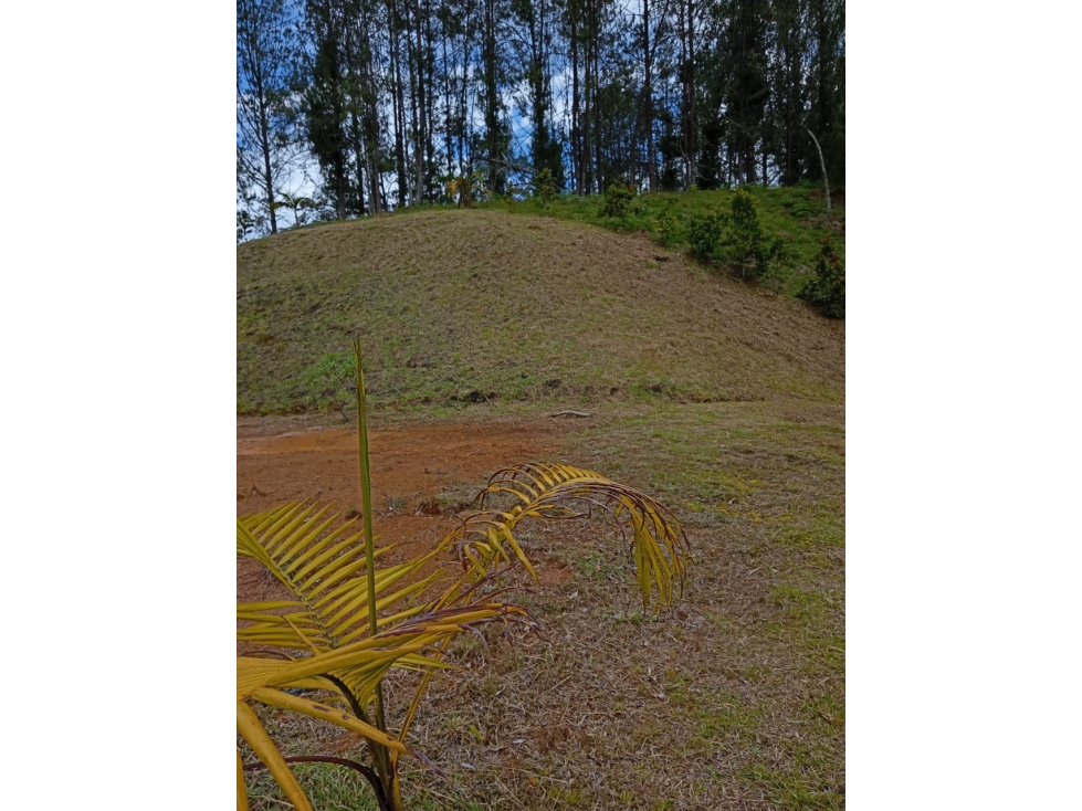 En el Retiro | Lote en Pantanillo Para caballos y vida tranquila