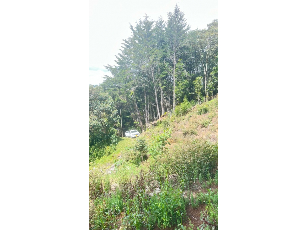 VENTA DE LOTE EN EL RETIRO ANTIOQUIA — foto 3