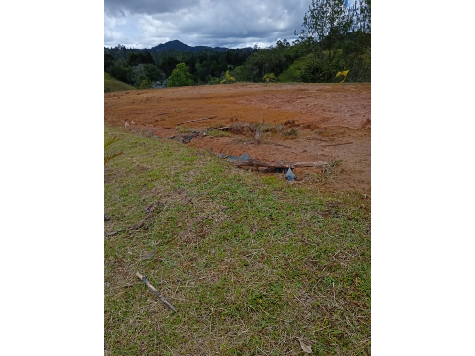 En el Retiro | Lote en Pantanillo Para caballos y vida tranquila — foto 4