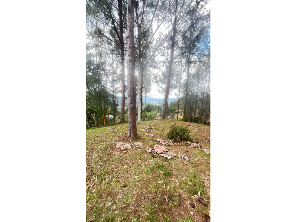 VENTA DE LOTE EN EL RETIRO ANTIOQUIA — foto 2
