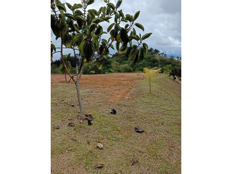 En el Retiro | Lote en Pantanillo Para caballos y vida tranquila — foto 6