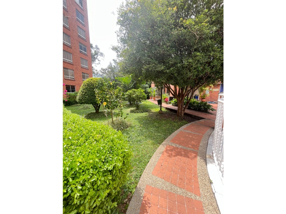 144 m² en Villa Grande, ubicación y potencial de transformación — foto 4