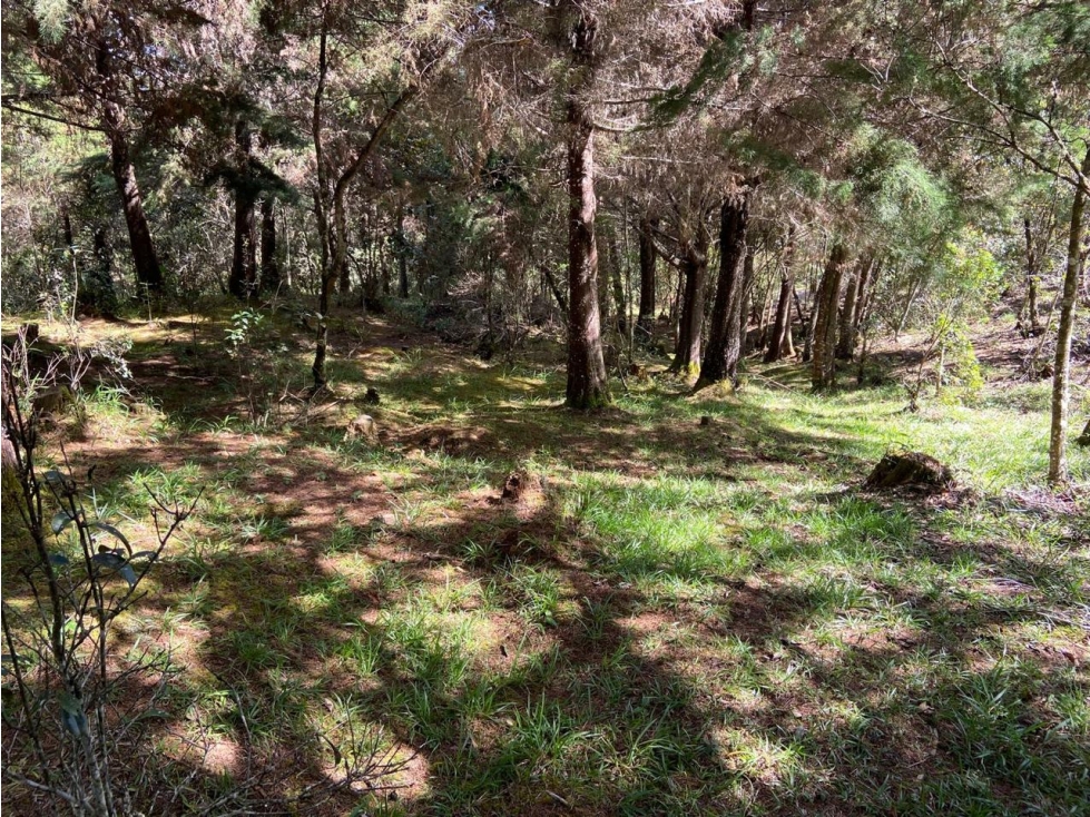 VENTA DE LOTE, EXCLUSIVIDAD EN EL RETIRO ANTIOQUIA 10.025MTS — foto 5