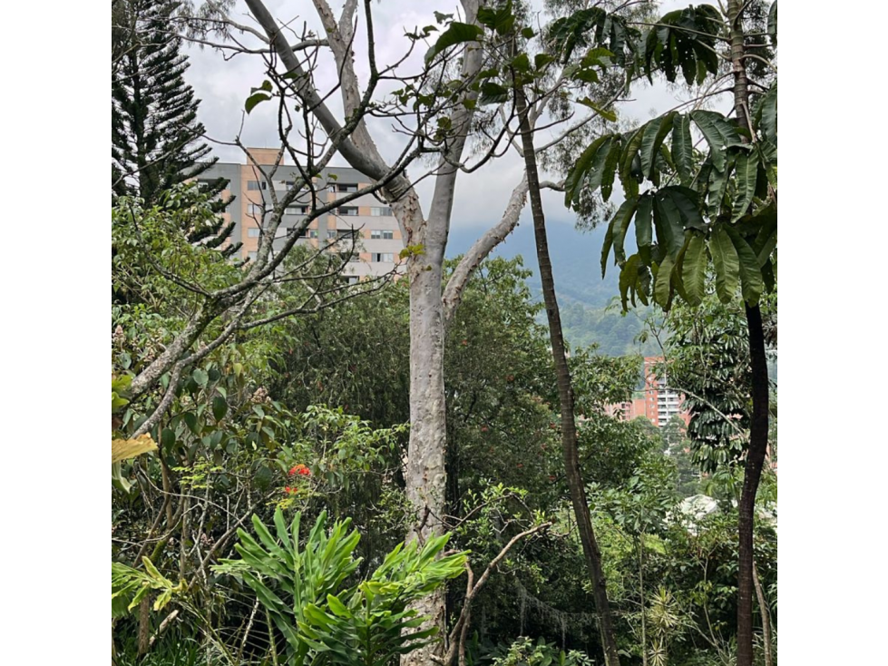 VENTA DE Terreno con Potencial Inmobiliario ENVIGADO — foto 2