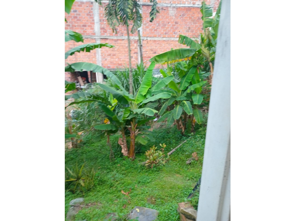 CASA LOTE | URBANO CON ALTO POTENCIAL DLLO - 2