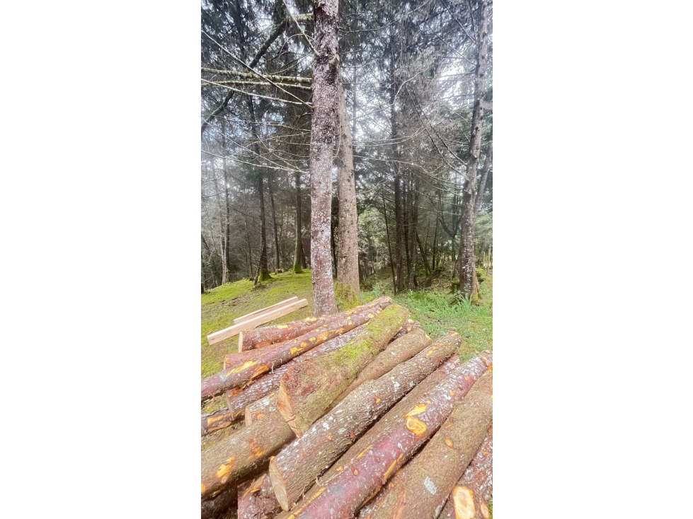 VENTA DE LOTE EN EL RETIRO ANTIOQUIA — foto 3