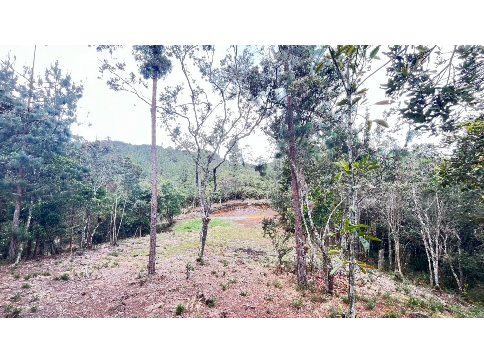 VENTA LOTE EN TABLAZO ANTIOQUIA ¡OPORTUNIDAD!