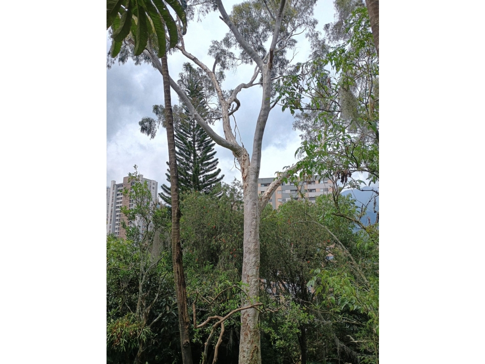 VENTA DE Terreno con Potencial Inmobiliario ENVIGADO — foto 3