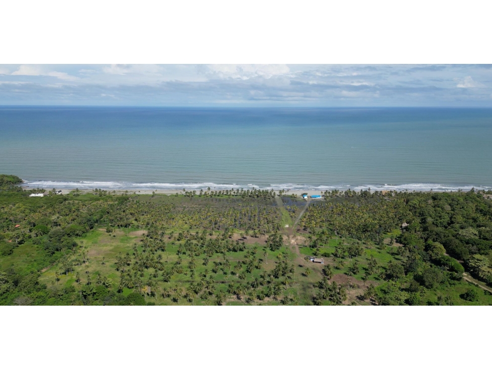 Finca en Venta 100% Equipada a 500 m del Mar | San Bernardo del Viento - 2