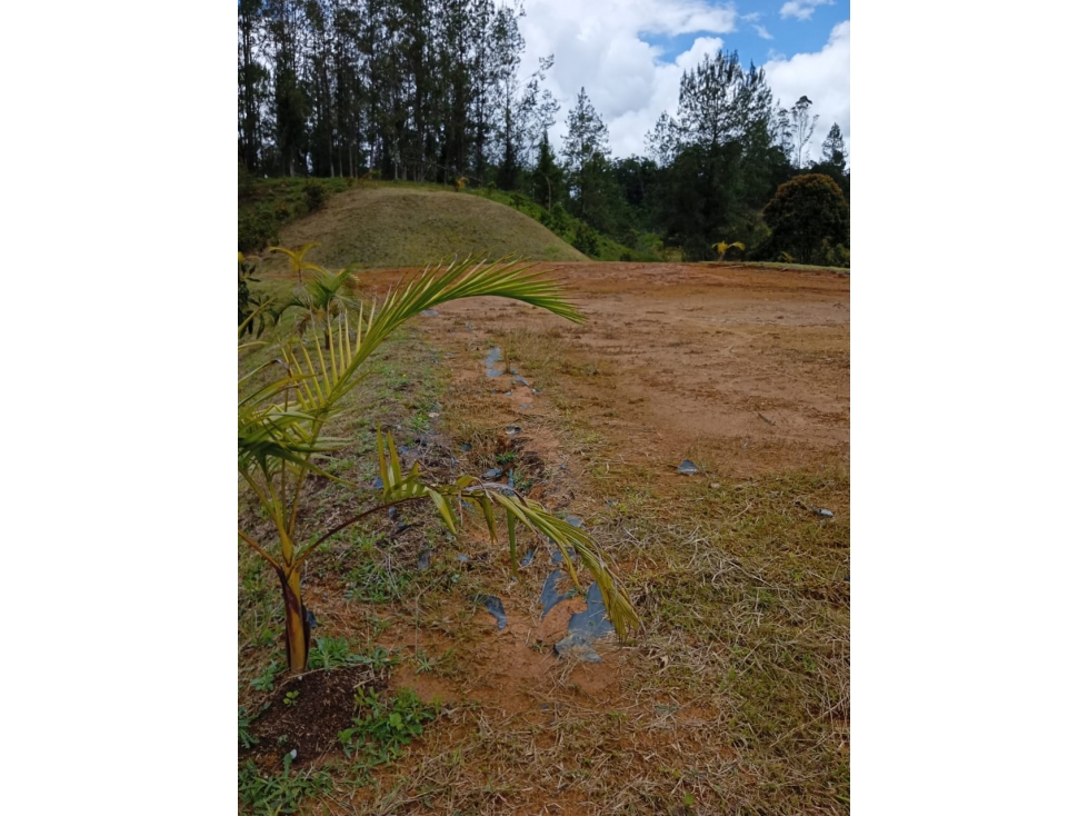 En el Retiro | Lote en Pantanillo Para caballos y vida tranquila — foto 2