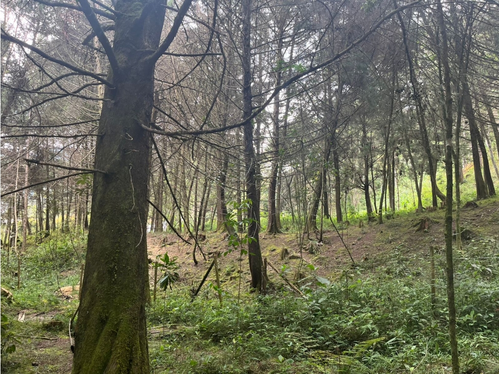 VENTA DE LOTE EN EL RETIRO ANTIOQUIA — foto 5