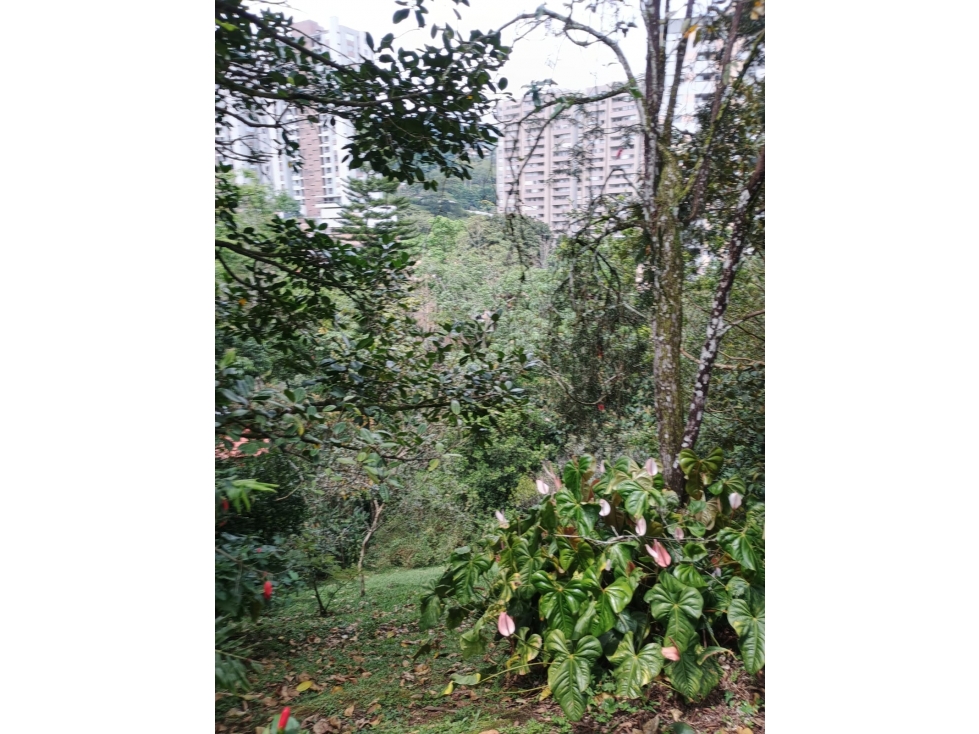 VENTA DE Terreno con Potencial Inmobiliario ENVIGADO — foto 5