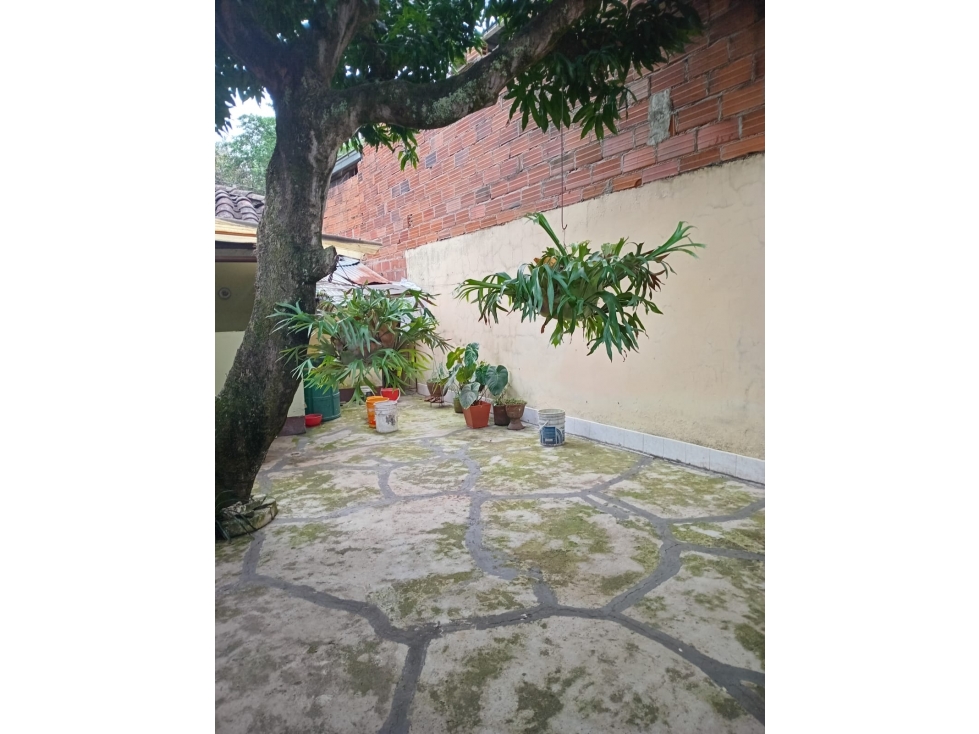 CASA LOTE | URBANO CON ALTO POTENCIAL DLLO - 6