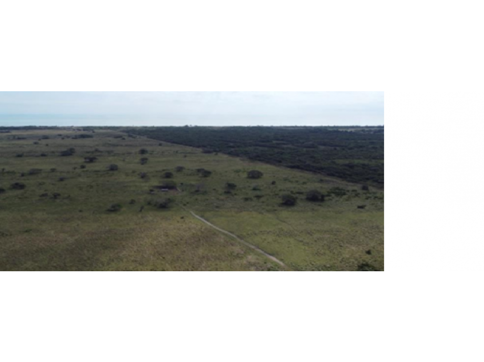 Ranchos en Venta en Tamiahua, Veracruz, Ideal Para Inversionistas - 1